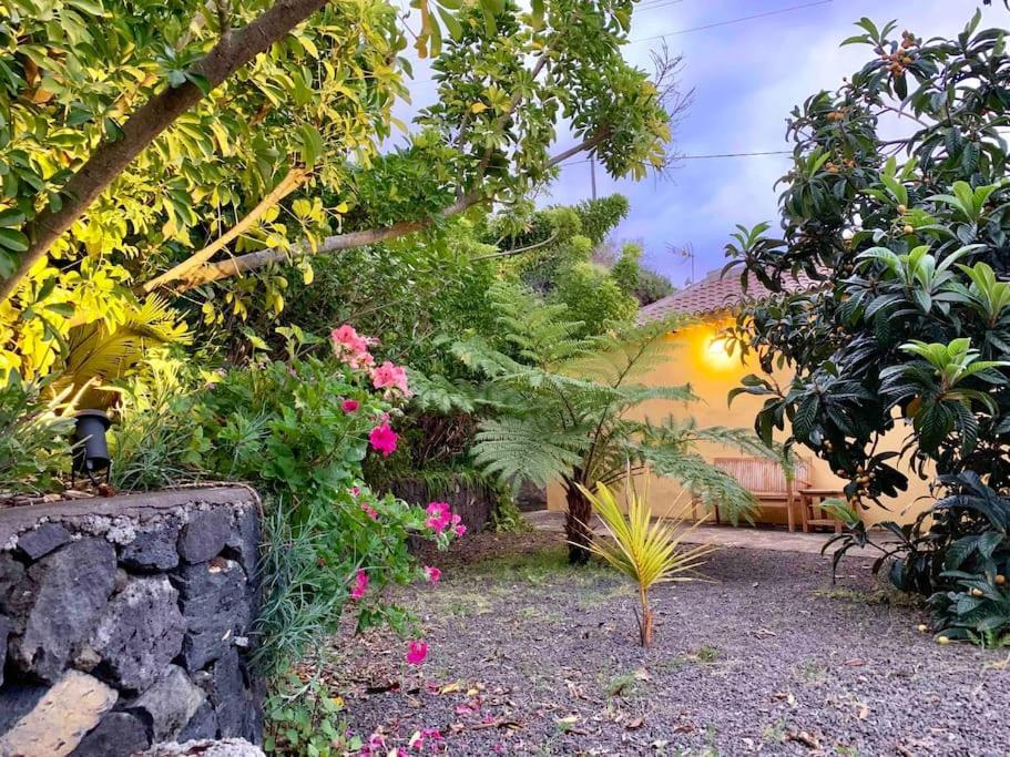 Villa Rustic House La Montana à Breña Baja Extérieur photo